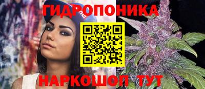 стаф Гусиноозёрск