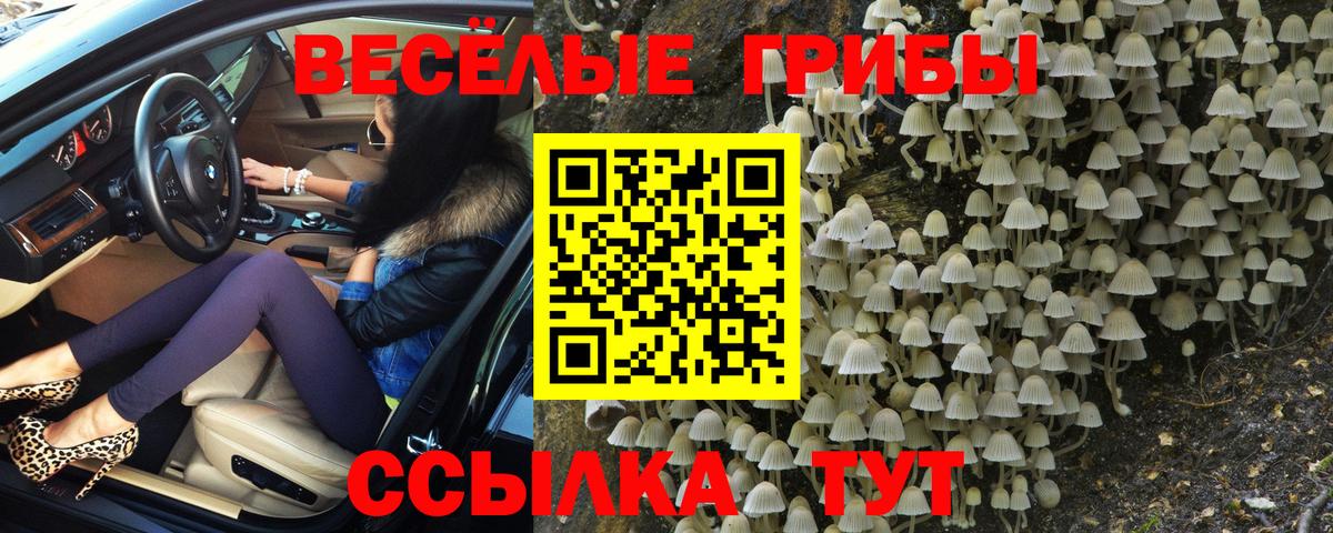 Галлюциногенные грибы мицелий Нерюнгри