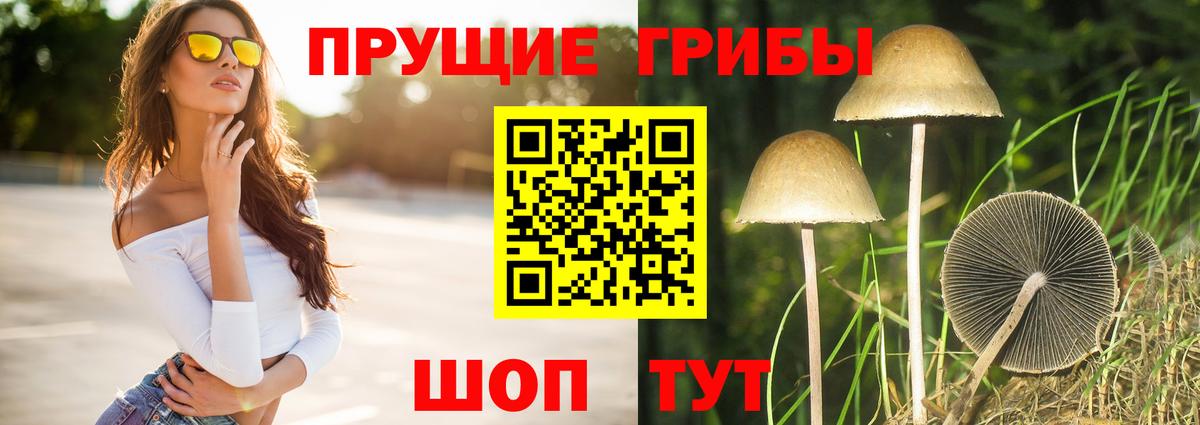 Псилоцибиновые грибы Magic Shrooms  Вход с VPN  наркошоп  Нерюнгри 